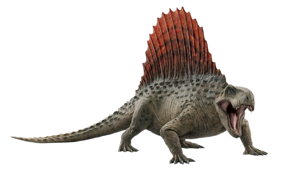 JWDDimetrodon