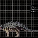 ankylosaurus size chart