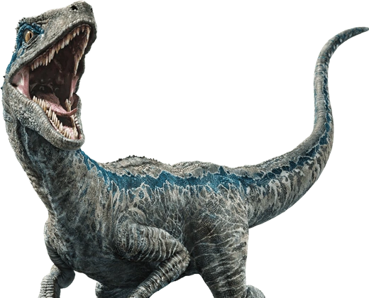 Authentic Blue Raptor Plush Toy Jurassic World Universal Studios Exclusive  23″ – Hedgehogs Corner