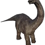 Apatosaurus2