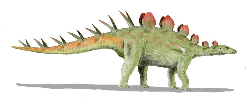 Chialingosaurus BW