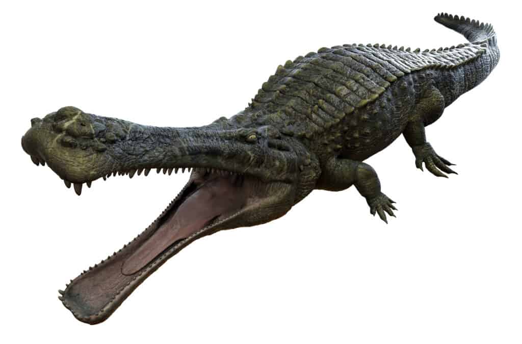 Deinosuchus 1024x676 1