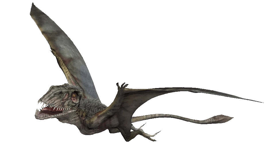 Dimorphodon