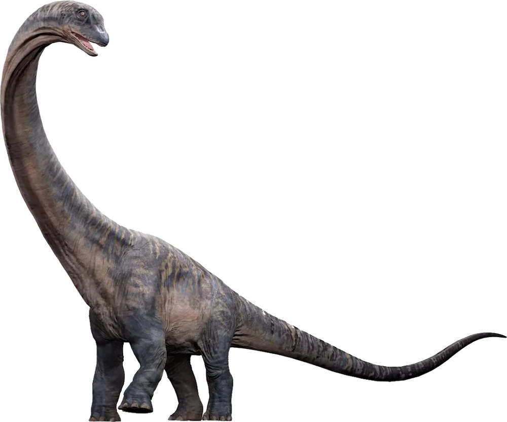 Dreadnoughtus