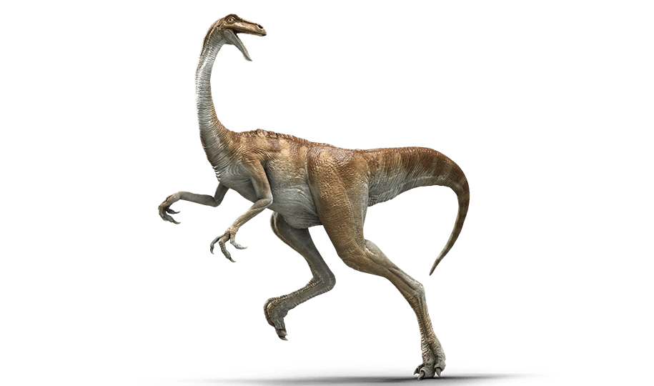 Gallimimus