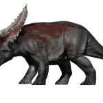 Nasutoceratops Male