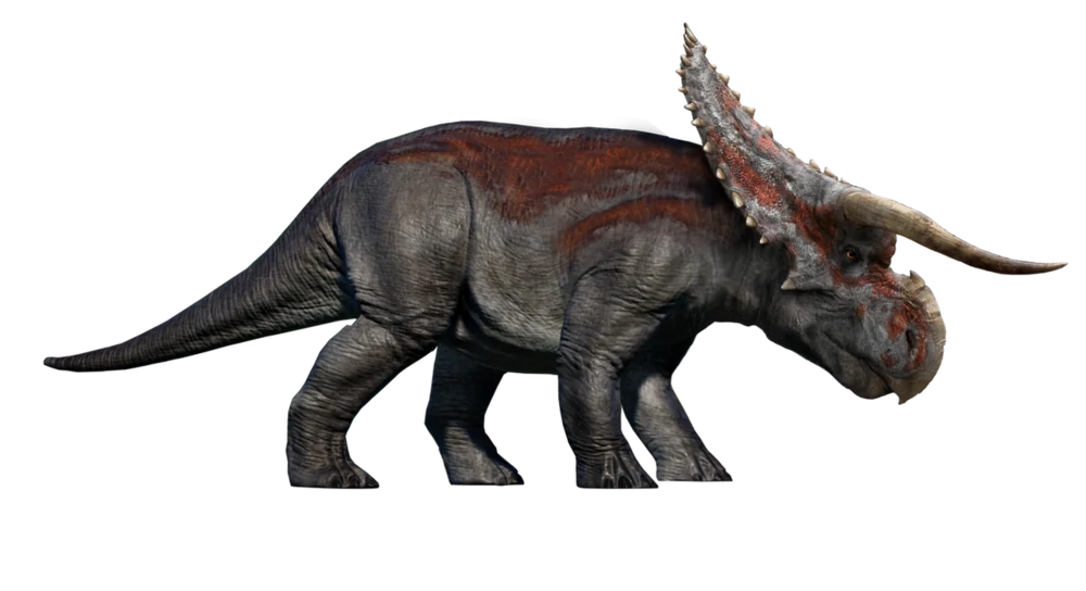 Nasutoceratops Male