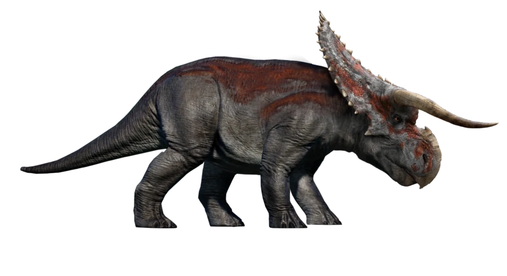 nasutuceratops