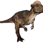 Pachycephalosaurus3