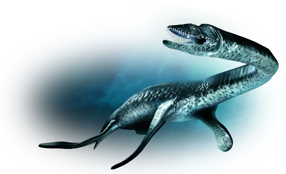 Plesiosaurus2