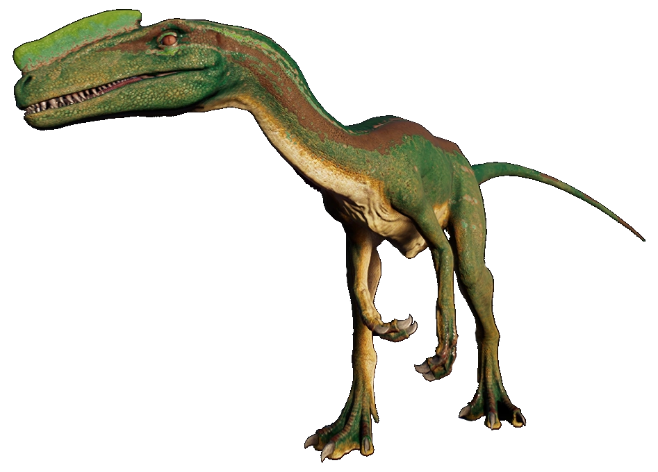 Proceratosaurus 1