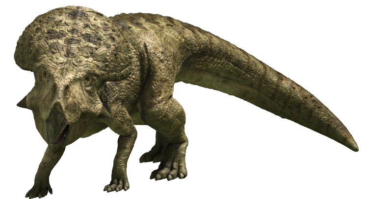 Protoceratops2