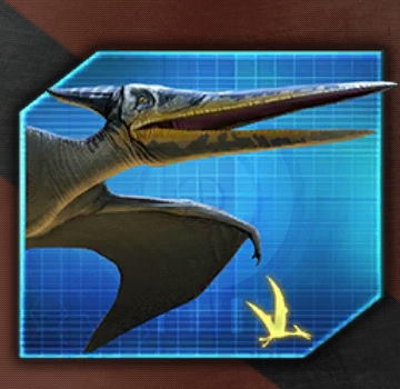 Pteranodon1 1