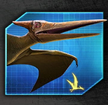 Pteranodon3 1