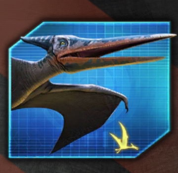 Pteranodon4