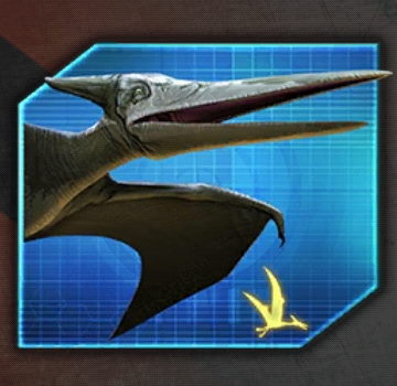 Pteranodon5