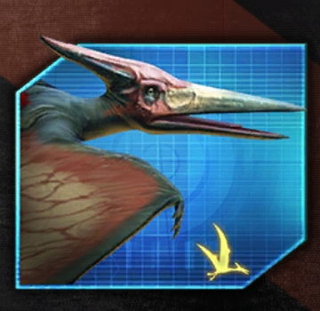 Pteranodon7