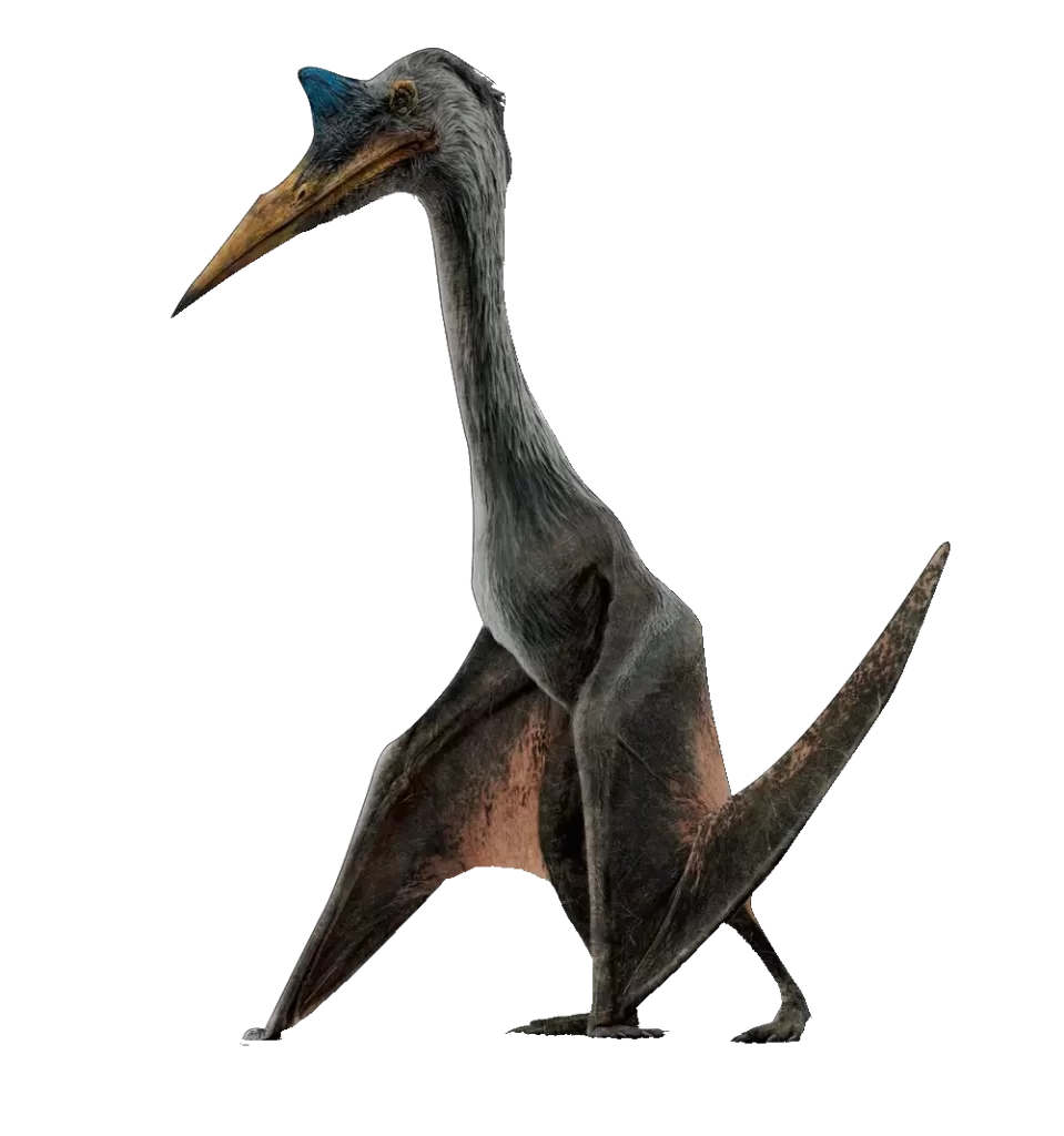 Quetzalcoatlus 2 Quetzalcoatlus