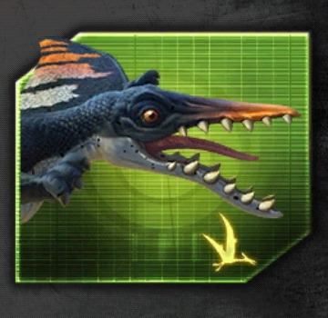 Rhamphorhynchus