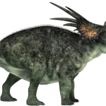 Styracosaurus 1
