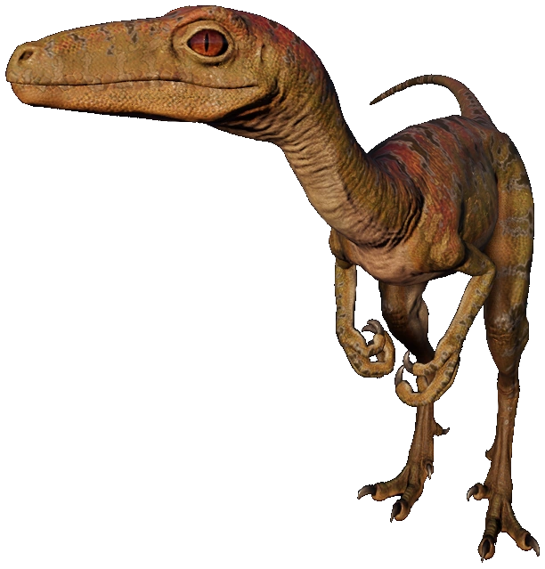 Troodon