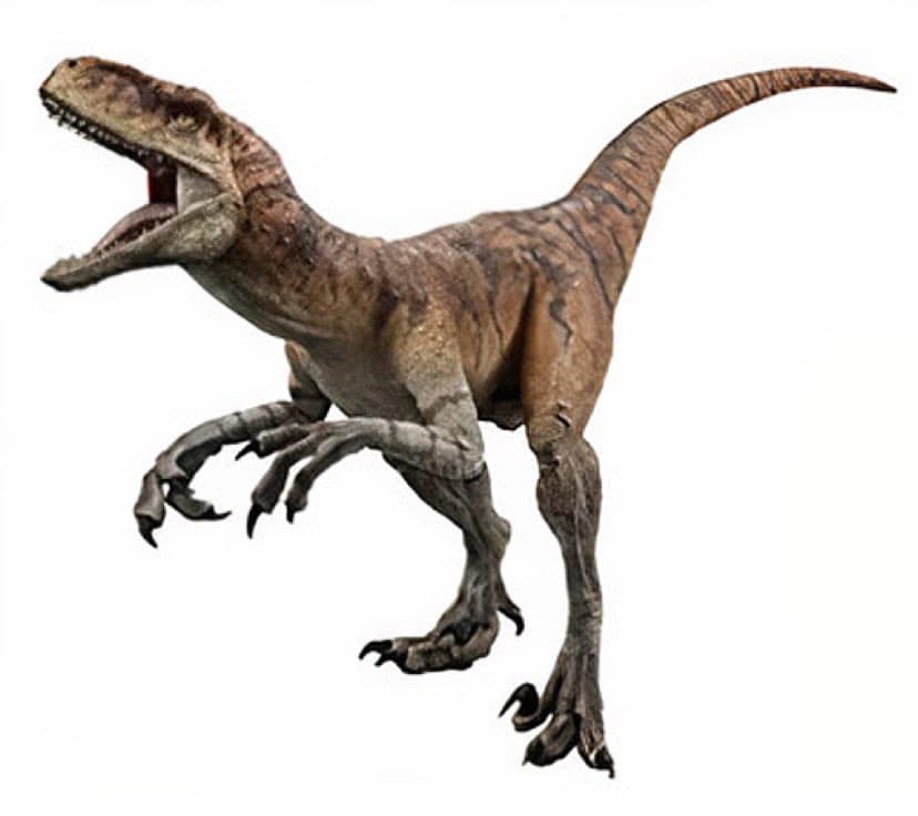atrociraptor red2
