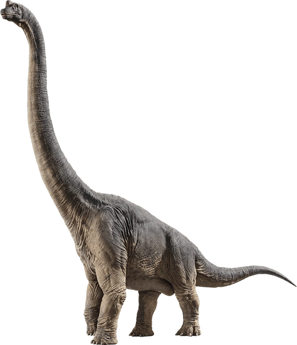 Young Brachiosaurus 2 of 2 Scan Code » DNA scan codes for the Jurassic