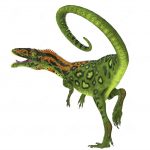 masiakasaurus dinosaur tail was carnivorous theropod lived madagascar cretaceous period 142999916 transformed e1660648347666