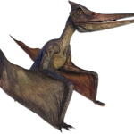 pteranodon 2