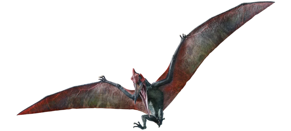 pteranodon