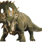 sinoceratops 1