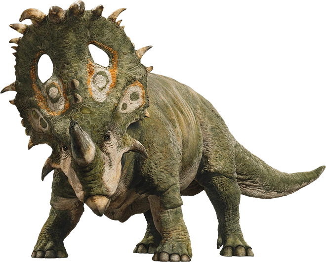 sinoceratops