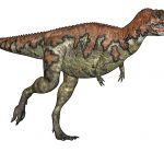 skorpiovenator dinosaur friedrich saurer