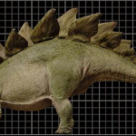 stegosaurus3