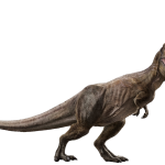 tyrannosaurus rex2