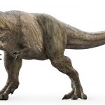 tyranosauras rex3