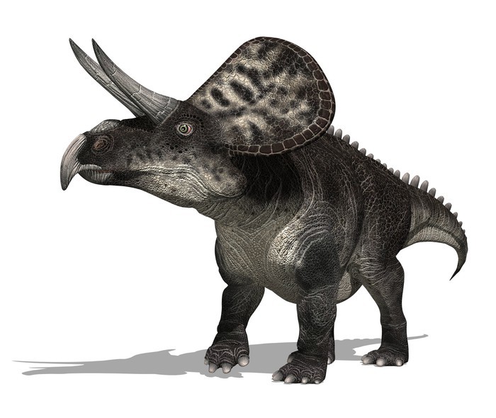 zuniceratops