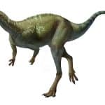 Elpharosaurus Dino Trackers JurassicDNA.com