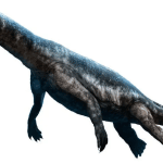 Nothosaurus 1