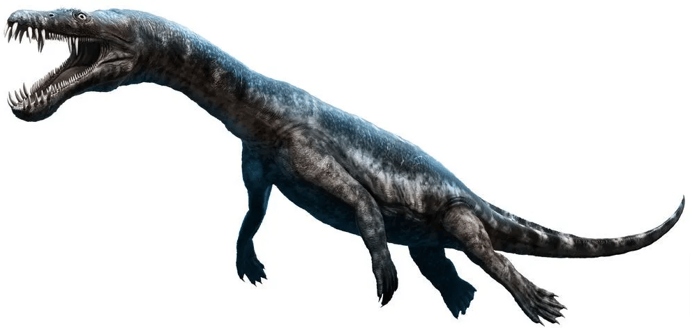 Nothosaurus