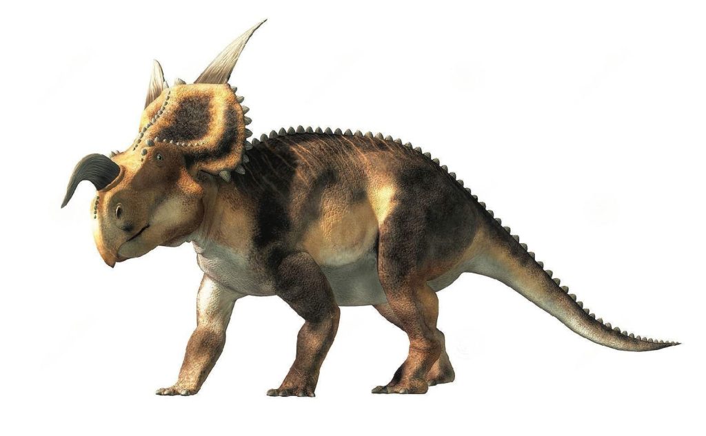 einiosaurus