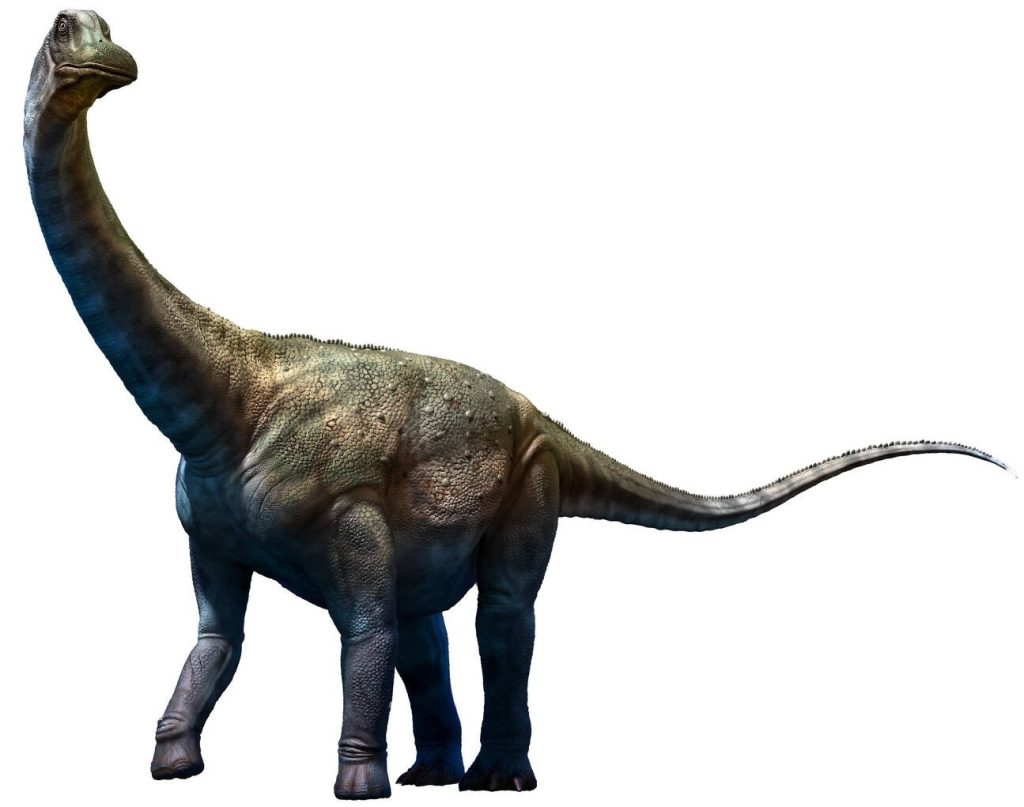 Antarctosaurus - Dino Trackers - Jurassic World Play DNA Scan Code JurassicDNA.com