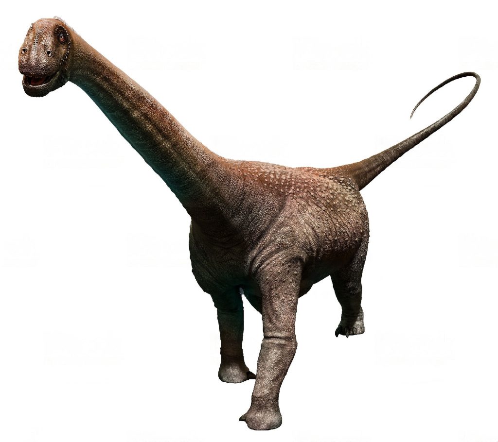 Malawisaurus - Dino Trackers - Jurassic World Play DNA Scan Code JurassicDNA.com