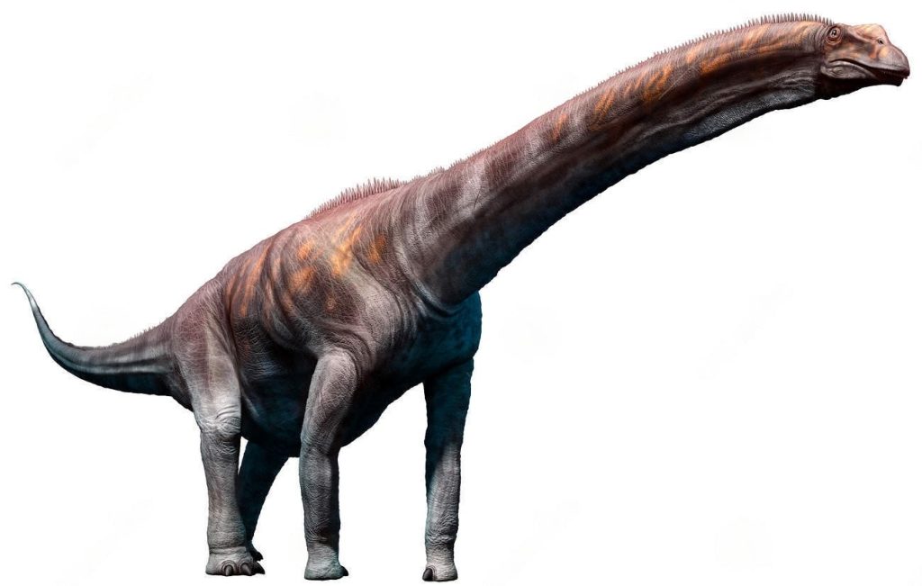 Argentinosaurus - Dino Trackers - Jurassic World Play DNA Scan Code JurassicDNA.com