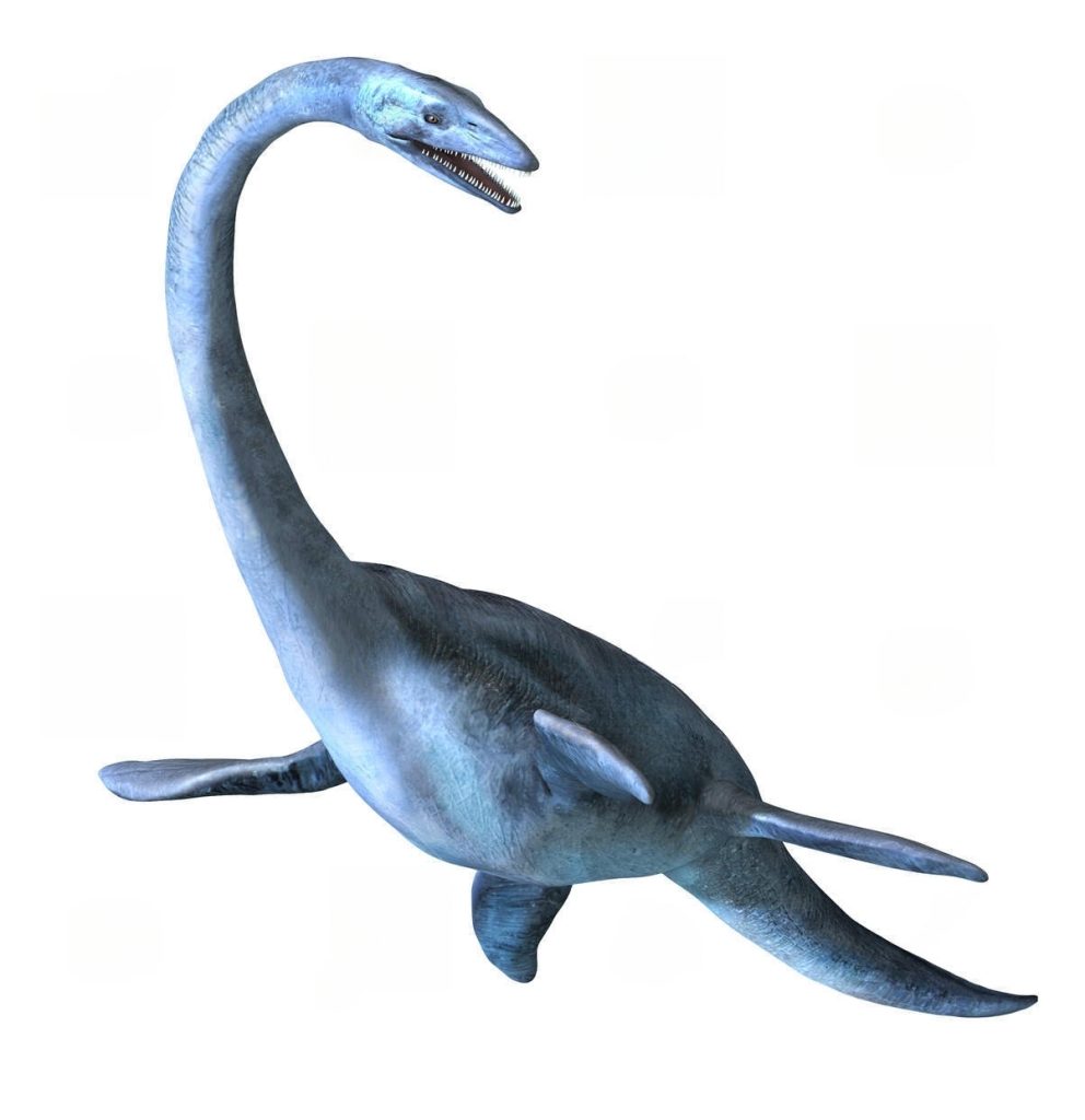 Elasmosaurus - Dino Trackers - Jurassic World Play DNA Scan Code JurassicDNA.com