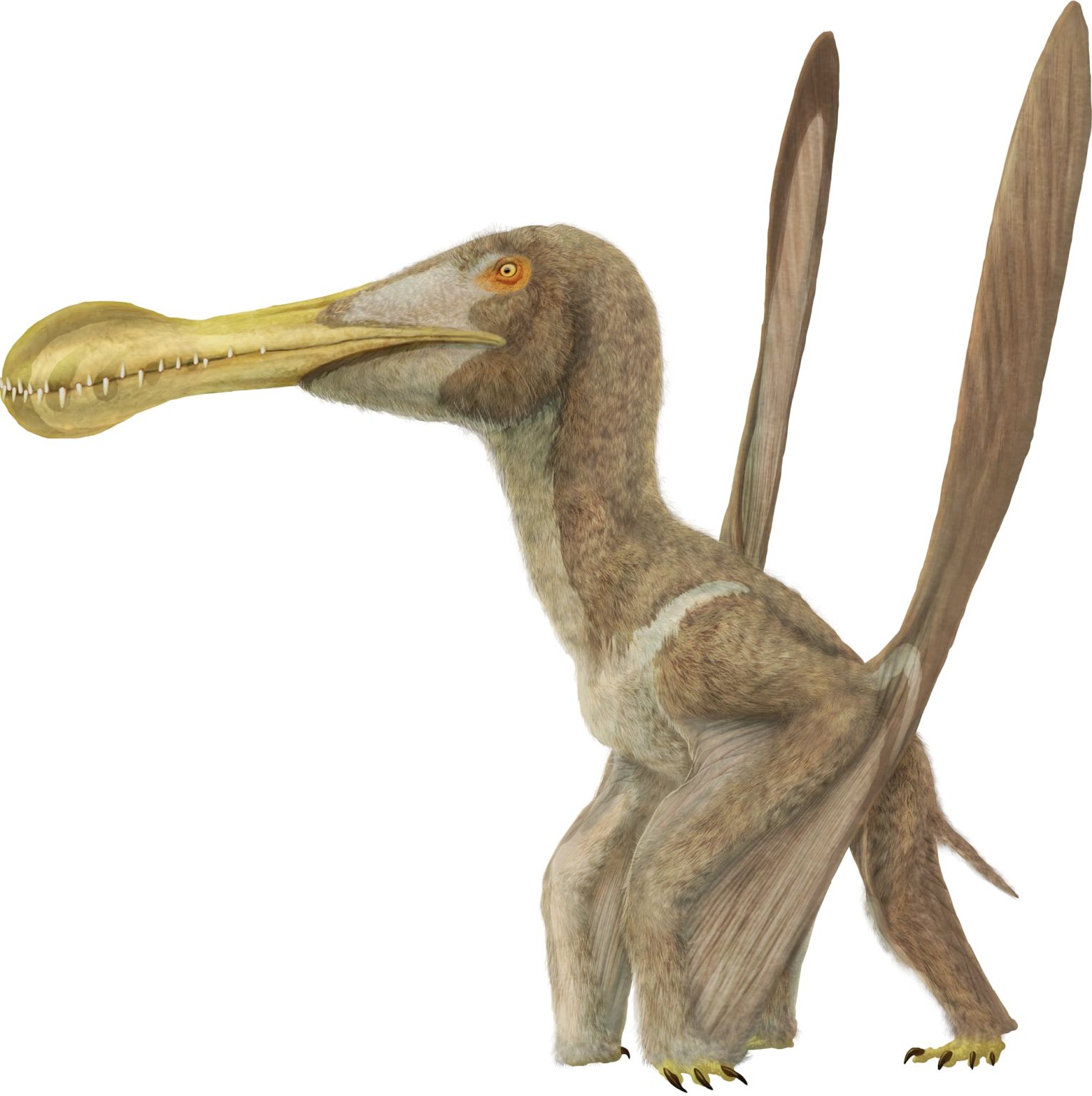 jurassic world dino trackers ornithocheirus scan code