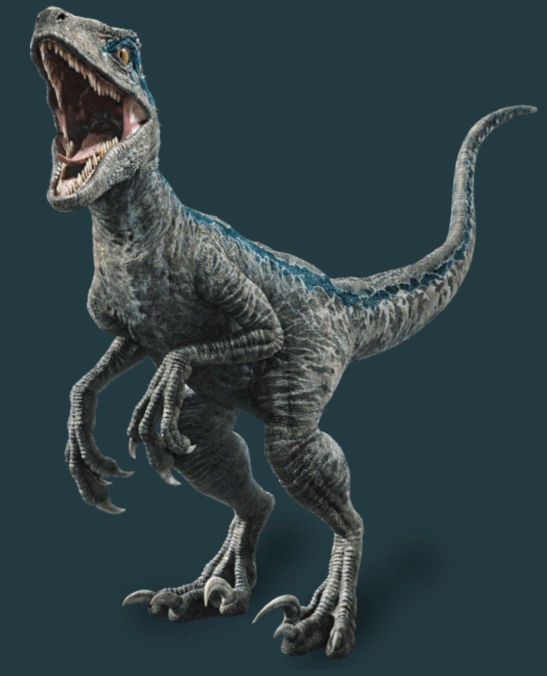 velociraptor-blue-stats