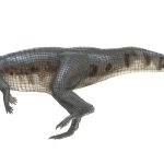 Poposaurus - Epic Evolution - Jurassic World Play DNA Scan Code JurassicDNA.com