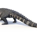 Kaprosuchus - Epic-Evolution - Jurassic World Play DNA Scan Code JurassicDNA.com