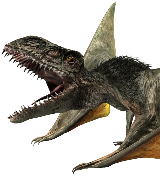 Dimorphodon Epic Evolution JurassicDNA
